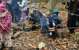 423062813_915295436444069_8847497191998438250_n