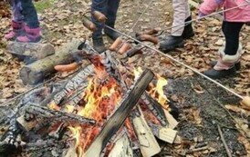 420563151_301239232958828_8558061627686722280_n