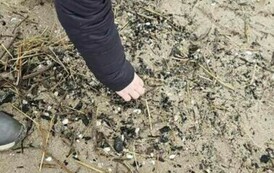 420509713_861438305780480_723206801925252157_n