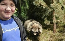 420234356_754111153449600_2522658290789212859_n