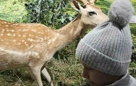 420099706_128170627058270_6798475742739501366_n